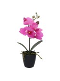 Vacchetti Pianta orchidea con vaso 4 assortiti cm1 4x8h29