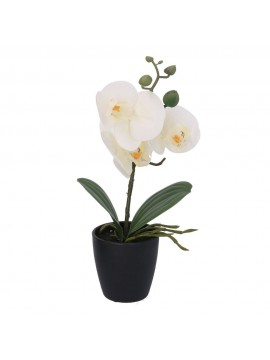 Vacchetti Pianta orchidea con vaso 4 assortiti cm1 4x8h29