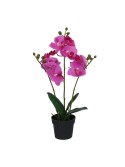 Vacchetti Pianta orchidea con vaso 4 assortiti cm2 5x20h45