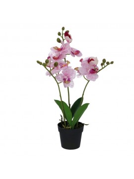 Vacchetti Pianta orchidea con vaso 4 assortiti cm2 5x20h45