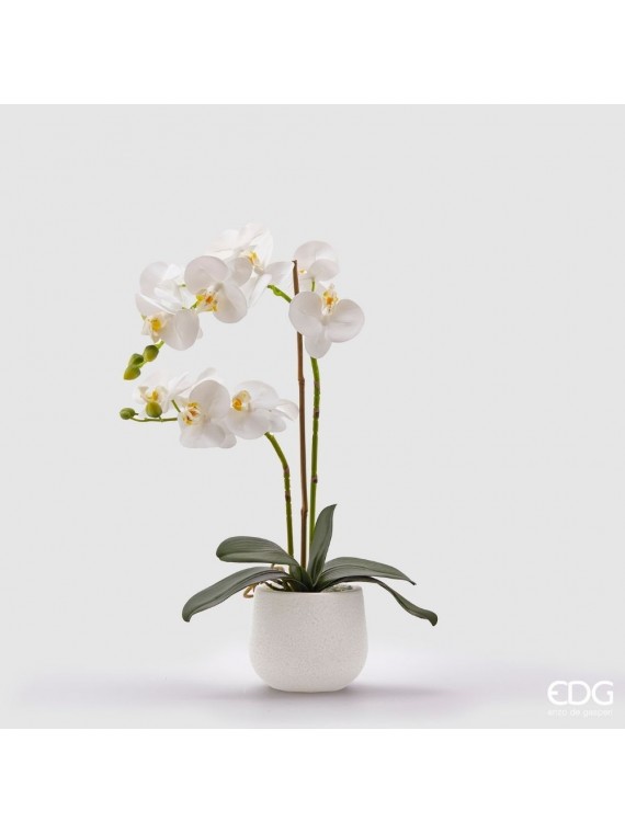 Edg orchidea phal real x 2 con vaso h53