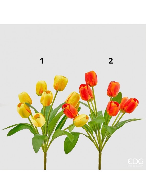 Edg tulipano bliss cespuglio x 9 2 assortiti