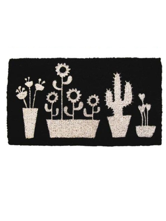 Zerbino cactus nero
